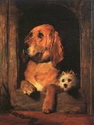Sir Edwin Landseer Dignity and Impudence painting
